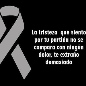 Meet your Posher, Clara